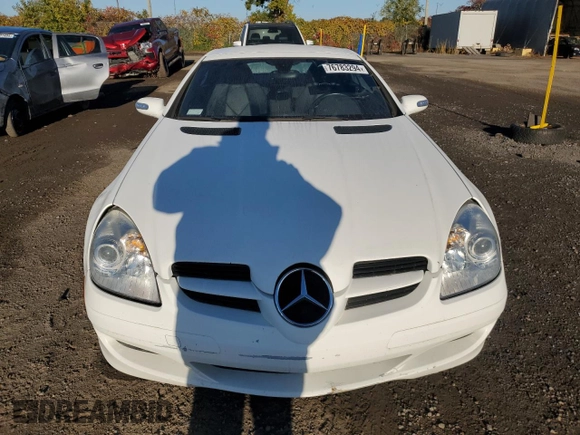 2006 Mercedes-Benz SLK 280 with VIN WDBWK54F06F091890, listed as a Copart auction lot 76783294 with 72,695 mi miles and Clean Title. Bid and sale history available at DreamBid. Image 5.