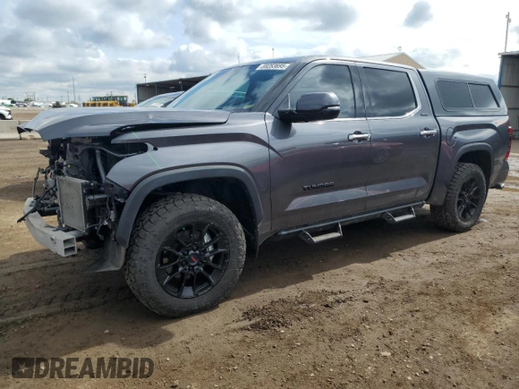 2023 Toyota Tundra Limited with VIN 5TFJA5DB8PX083947, listed as a Copart auction lot 59283695 with 19,089 mi miles and Salvage title. Bid and sale history available at DreamBid. Image 1.