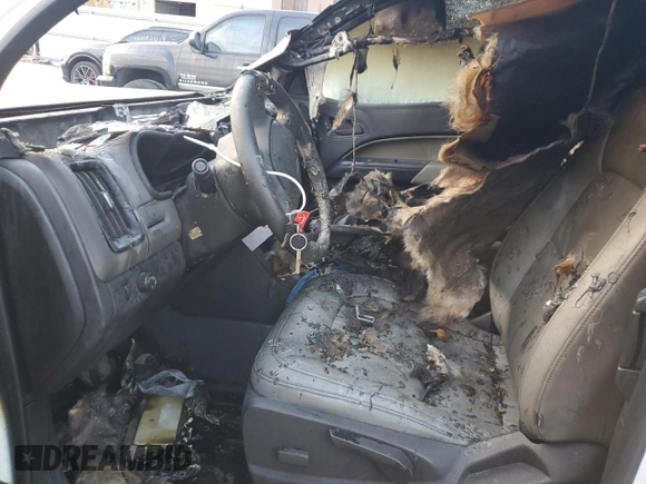 2016 Chevrolet Colorado 2WD WT with VIN 1GCHSBEA9G1232286, listed as a Copart auction lot 79242734 with Not Provided miles and Non Repairable. Bid and sale history available at DreamBid. Image 7.