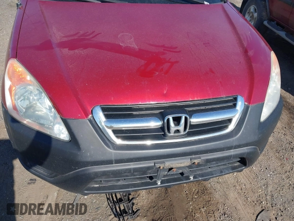 2004 Honda CR-V LX with VIN SHSRD77494U243206, listed as a IAAI auction lot 41794968 with 259,241 mi miles and . Bid and sale history available at carsss.com. Image 6.