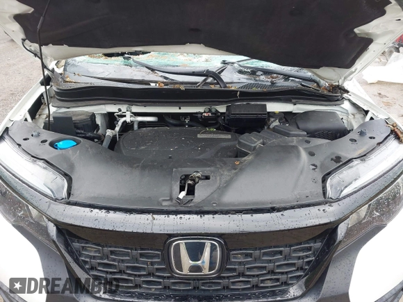 2019 Honda Passport Sport with VIN 5FNYF8H28KB010303, listed as a IAAI auction lot 42178541 with 37,593 mi miles and . Bid and sale history available at DreamBid. Image 10.