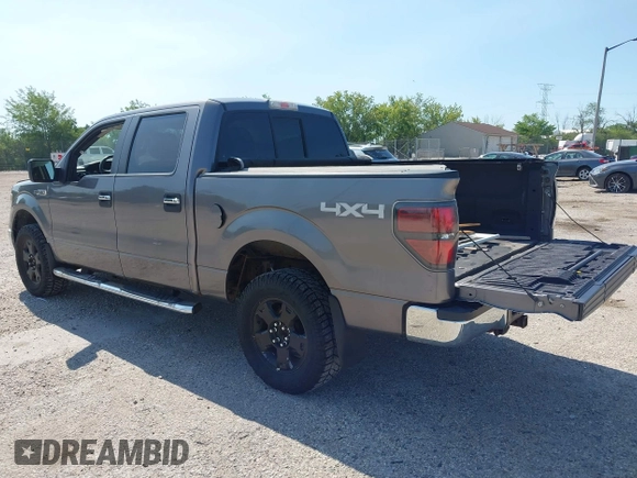 2010 Ford F-150 XL with VIN 1FTEW1E83AFD18282, listed as a IAAI auction lot 42653428 with 207,118 mi miles and . Bid and sale history available at DreamBid. Image 3.