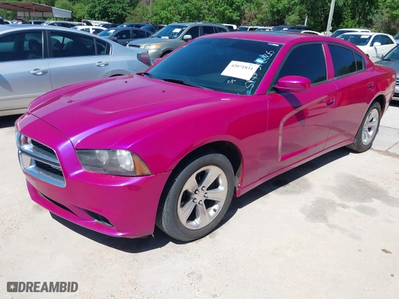 2011 Dodge Charger Rallye with VIN 2B3CL3CG3BH572226, listed as a IAAI auction lot 42071831 with 130,686 mi miles. Bid and sale history available at carsss.com. Image 2.