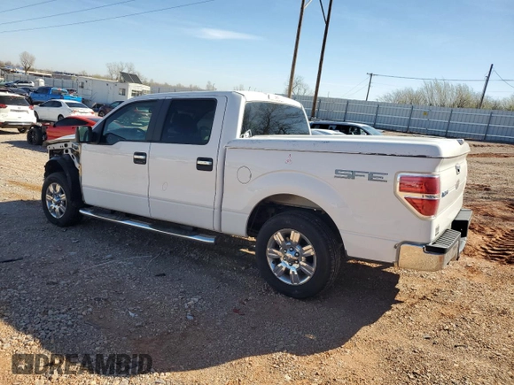 2009 Ford F-150 XL with VIN 1FTRW12869FA24540, listed as a Copart auction lot 49086015 with 184,310 mi miles and Salvage Title. Bid and sale history available at carsss.com. Image 2.