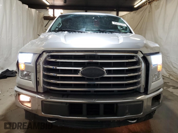 2017 Ford F-150 XL with VIN 1FTEW1EP1HFA55842, listed as a Copart auction lot 45715775 with 141,732 mi miles and Salvage Title. Bid and sale history available at carsss.com. Image 5.