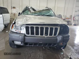 2002 Jeep Grand Cherokee Limited z VIN 1J8GW58S02C279251, wystawiony jako Copart lot #61563465 z przebiegiem 182 244 mil mil oraz Szkoda całkowita • Salvage title. Historia ofert i sprzedaży dostępna na DreamBid. Obrazek 5.