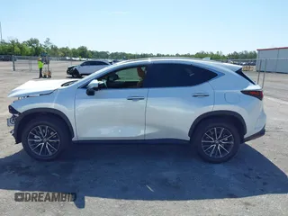 2025 Lexus NX 250 Premium с VIN 2T2GDCAZXSC028362, выставлен на аукционе IAAI как лот 42285404 с пробегом 171 миль миль и . История ставок и продаж доступна на DreamBid. Изображение 15.