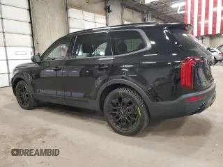 2022 Kia Telluride SX with VIN 5XYP5DHC1NG282155, listed as a Copart auction lot 53046715 with 43,921 mi miles and Salvage title. Bid and sale history available at DreamBid. Image 2.