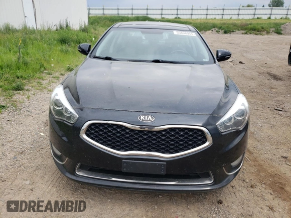 2015 Kia Cadenza Premium with VIN KNALN4D79F5172906, listed as a Copart auction lot 55806954 with 119,588 mi miles and Salvage Title. Bid and sale history available at carsss.com. Image 5.