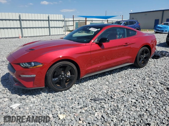 2023 Ford Mustang EcoBoost с VIN 1FA6P8TH7P5111783, выставлен на аукционе Copart как лот 53097805 с пробегом 10 989 миль миль и Списание • Salvage title. История ставок и продаж доступна на DreamBid. Изображение 1.