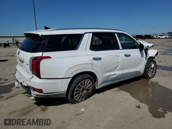 2020 Hyundai Palisade Limited with VIN KM8R5DHE9LU102289, listed as a Copart auction lot 54194415 with 98,282 mi miles and Salvage title. Bid and sale history available at DreamBid. Image 3.