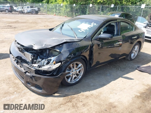 2010 Nissan Maxima SV с VIN 1N4AA5AP5AC801037, выставлен на аукционе IAAI как лот 42407425 с пробегом 184 046 миль миль и . История ставок и продаж доступна на DreamBid. Изображение 2.