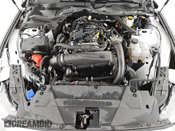 2024 Ford Mustang EcoBoost with VIN 1FAGP8UH4R5132564, listed as a Copart auction lot 53862275 with 22,324 mi miles and Clean Title. Bid and sale history available at carsss.com. Image 11.