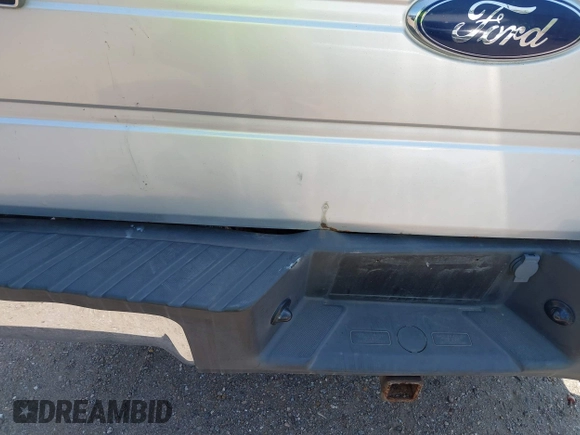 2010 Ford F-150 XL with VIN 1FTEX1E87AFD31629, listed as a IAAI auction lot 42111965 with 174,038 mi miles and . Bid and sale history available at DreamBid. Image 17.
