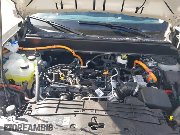 2024 Ford Maverick XLT with VIN 3FTTW8H3XRRB14562, listed as a IAAI auction lot 41235279 with 5,613 mi miles and . Bid and sale history available at DreamBid. Image 10.
