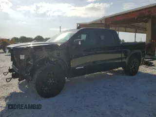 2020 GMC Sierra 1500 Elevation with VIN 3GTP8CED7LG293772, listed as a Copart auction lot 51208905 with 36,747 mi miles and Salvage Title. Bid and sale history available at DreamBid. Image 1.