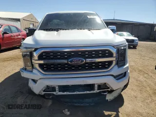 2021 Ford F-150 XL with VIN 1FTMF1CP2MKE07164, listed as a Copart auction lot 53718025 with 66,404 mi miles and Salvage title. Bid and sale history available at DreamBid. Image 5.