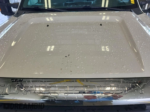 2016 Ford F-250 XLT with VIN 1FT7X2A60GEA74055, listed as a IAAI auction lot 42843465 with 159,764 mi miles and . Bid and sale history available at DreamBid. Image 10.