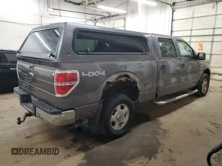 2009 Ford F-150 XL with VIN 1FTPW14V19FA73431, listed as a Copart auction lot 54222965 with 310,958 mi miles and Clean Title. Bid and sale history available at carsss.com. Image 3.