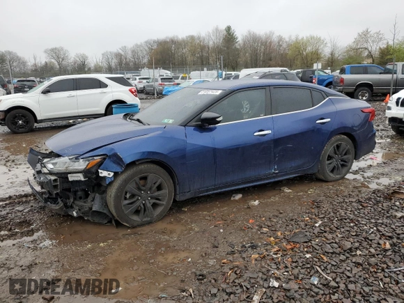 2021 Nissan Maxima SV with VIN 1N4AA6CVXMC503489, listed as a Copart auction lot 51857425 with Not Provided miles and Salvage Title. Bid and sale history available at DreamBid. Image 1.