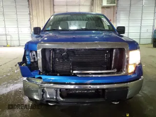 2010 Ford F-150 XL with VIN 1FTEX1E81AFC65403, listed as a Copart auction lot 46464375 with 205,244 mi miles and Clean Title. Bid and sale history available at carsss.com. Image 5.