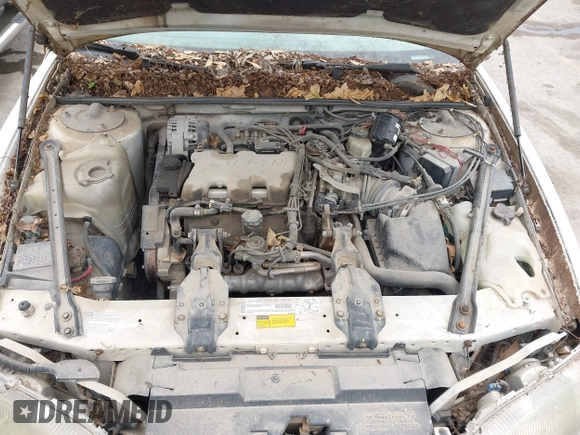 2001 Chevrolet Lumina with VIN 2G1WL52J411138384, listed as a IAAI auction lot 42133930 with 184,255 mi miles and . Bid and sale history available at DreamBid. Image 10.