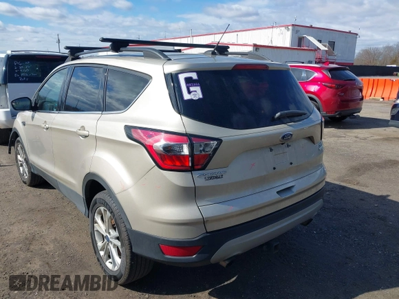 2017 Ford Escape SE with VIN 1FMCU0GDXHUD65232, listed as a IAAI auction lot 41721026 with 79,582 mi miles. Bid and sale history available at carsss.com. Image 3.