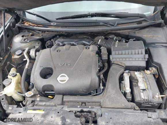 2009 Nissan Maxima 3.5 SV w/Premium Pkg with VIN 1N4AA51EX9C856464, listed as a IAAI auction lot 41733424 with 195,161 mi miles. Bid and sale history available at carsss.com. Image 10.