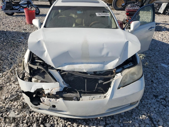 2009 Lexus ES 330 with VIN JTHBJ46G992299117, listed as a Copart auction lot 56293505 with 198,583 mi miles and Clean Title. Bid and sale history available at DreamBid. Image 11.