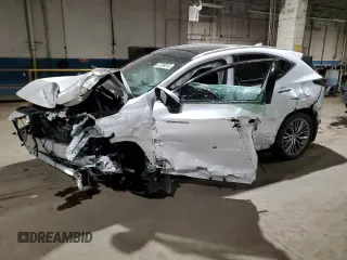 2024 Lexus NX with VIN 2T2HKCEZ6RC023531, listed as a Copart auction lot 41788615 with 0 mi miles and Salvage Title. Bid and sale history available at carsss.com. Image 1.