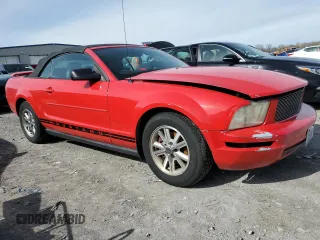 2006 Ford Mustang Standard with VIN 1ZVFT84N465151325, listed as a Copart auction lot 50571645 with Not Provided miles and Clean Title. Bid and sale history available at carsss.com. Image 4.