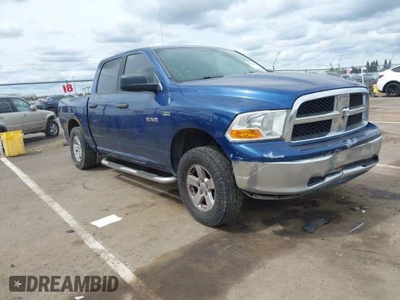 2009 Dodge 1500 SLT with VIN 1D3HV13T99S704450, listed as a IAAI auction lot 41976123 with Not Provided miles. Bid and sale history available at carsss.com. Image 1.