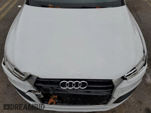 2017 Audi Q3 Prestige with VIN WA1GCCFS3HR015724, listed as a Copart auction lot 79187854 with 0 mi miles and Salvage Title. Bid and sale history available at carsss.com. Image 13.