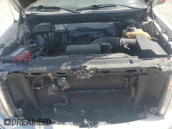 2011 Ford F-150 XL with VIN 1FTFW1EFXBFD38954, listed as a Copart auction lot 62573345 with 218,630 mi miles and Salvage title. Bid and sale history available at DreamBid. Image 11.