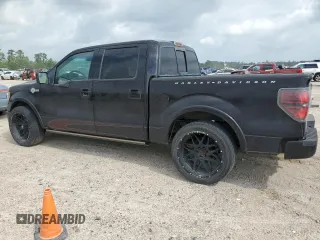 2010 Ford F-150 with VIN 1FTEW1CV2AFA87688, listed as a Copart auction lot 55324715 with 262,569 mi miles and Clean title. Bid and sale history available at DreamBid. Image 2.