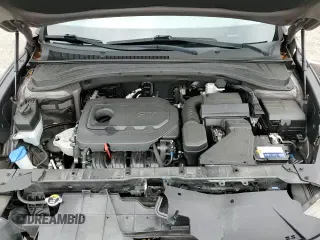 2020 Hyundai Santa Fe SEL с VIN 5NMS33AD3LH231191, выставлен на аукционе Copart как лот 84416045 с пробегом 48 718 миль миль и Списание • Salvage title. История ставок и продаж доступна на DreamBid. Изображение 16.
