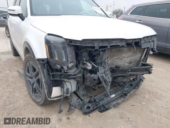2024 Kia Telluride SX Prestige X-Pro с VIN 5XYP5DGCXRG490882, выставлен на аукционе IAAI как лот 41634304 с пробегом 30 476 миль миль и . История ставок и продаж доступна на DreamBid. Изображение 6.