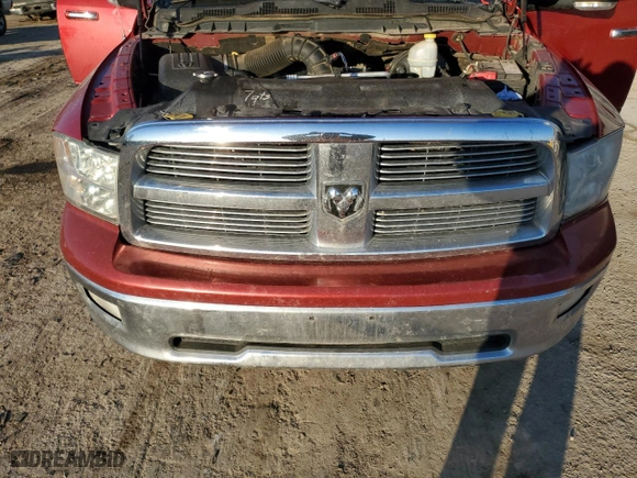 2010 Dodge Ram 1500 SLT with VIN 1D7RV1CT4AS114437, listed as a Copart auction lot 42445995 with 229,536 mi miles and Salvage Title. Bid and sale history available at carsss.com. Image 11.