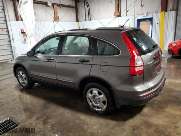 2010 Honda CR-V LX with VIN 5J6RE4H34AL067032, listed as a Copart auction lot 42517055 with 117,593 mi miles and Salvage Title. Bid and sale history available at carsss.com. Image 2.