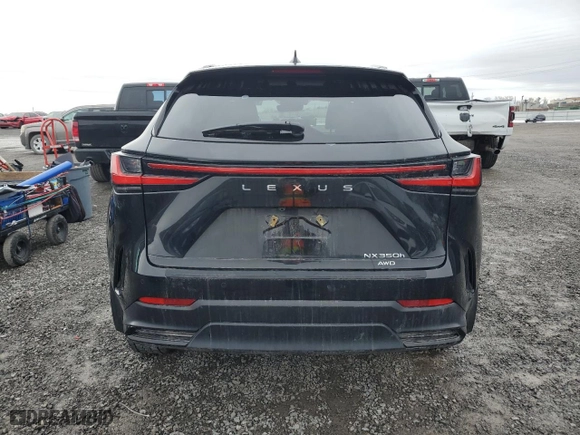 2024 Lexus NX with VIN 2T2GKCEZ0RC022385, listed as a Copart auction lot 49212895 with 16,600 mi miles and Clean Title. Bid and sale history available at carsss.com. Image 6.
