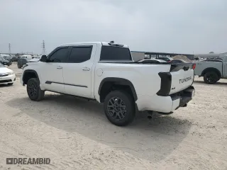 2024 Toyota Tundra 4WD Platinum with VIN 5TFNA5DBXRX232119, listed as a Copart auction lot 49095685 with 8,456 mi miles and Salvage Title. Bid and sale history available at carsss.com. Image 2.