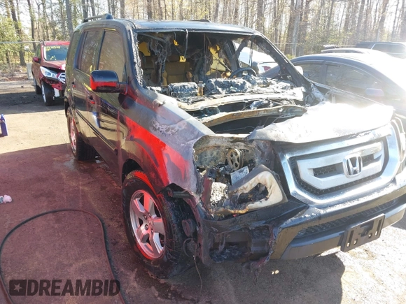 2009 Honda Pilot EX-L with VIN 5FNYF48699B023311, listed as a IAAI auction lot 41981928 with Not Provided miles and . Bid and sale history available at carsss.com. Image 6.