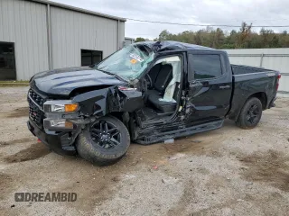 2019 Chevrolet Silverado 1500 Custom Trail Boss with VIN 3GCPYCEF3KG291520, listed as a Copart auction lot 82013774 with 0 mi miles and Salvage Title. Bid and sale history available at carsss.com. Image 1.