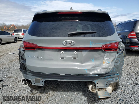 2022 Hyundai Santa Fe SEL with VIN 5NMS3DAJ1NH427600, listed as a Copart auction lot 47763165 with 117,795 mi miles and Salvage Title. Bid and sale history available at carsss.com. Image 6.