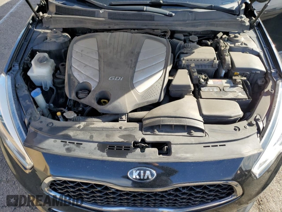 2014 Kia Cadenza Premium with VIN KNALN4D77E5143886, listed as a Copart auction lot 83951574 with 0 mi miles and Clean Title. Bid and sale history available at carsss.com. Image 11.