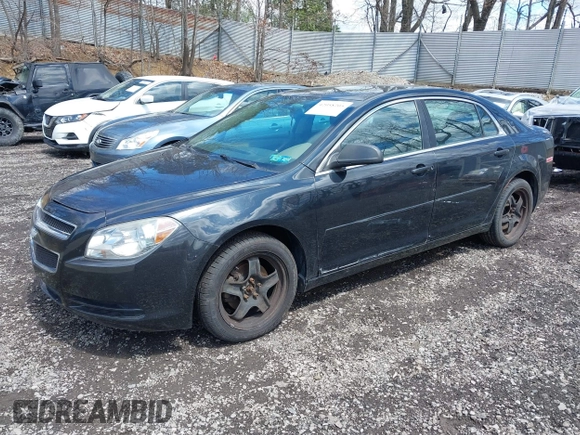 2011 Chevrolet Malibu 1LS with VIN 1G1ZB5E10BF293570, listed as a IAAI auction lot 42058205 with 92,316 mi miles and . Bid and sale history available at DreamBid. Image 2.