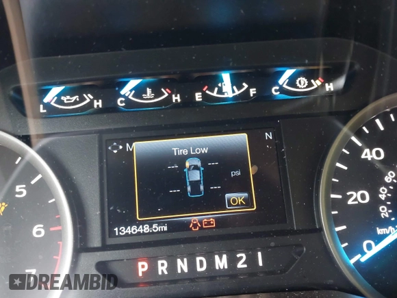2017 Ford F-150 XL with VIN 1FTEW1EF7HFA56775, listed as a IAAI auction lot 42420207 with 134,648 mi miles and . Bid and sale history available at DreamBid. Image 16.