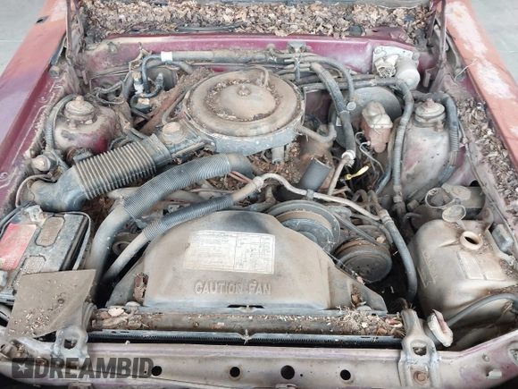 1984 Ford Thunderbird with VIN 1FABP4630EA111572, listed as a IAAI auction lot 41569309 with 7,919 mi miles and . Bid and sale history available at DreamBid. Image 10.