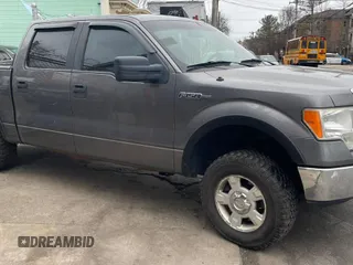 2010 Ford F-150 XL with VIN 1FTEW1E8XAFA29285, listed as a Copart auction lot 62917765 with 194,317 mi miles and Clean title. Bid and sale history available at DreamBid. Image 1.