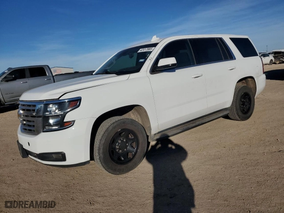 2020 Chevrolet Tahoe Commercial with VIN 1GNLCDEC6LR287821, listed as a Copart auction lot 42417985 with 134,357 mi miles and Clean Title. Bid and sale history available at carsss.com. Image 1.